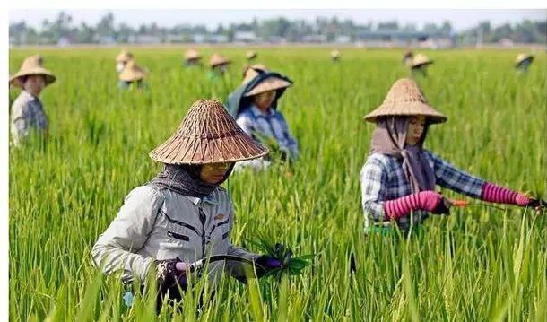 中缅边境通婚严重为能在中国定居缅甸女孩拼了