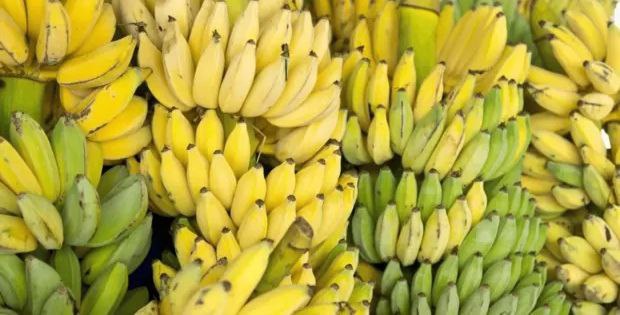 菲律宾香蕉对华出口锐减不再居于榜首地位