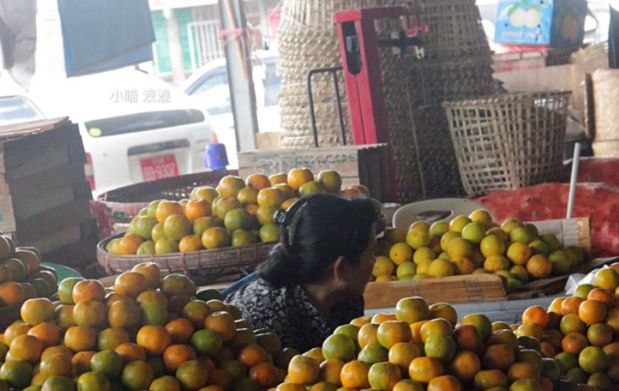 越南缅甸大量水果滞销腐烂