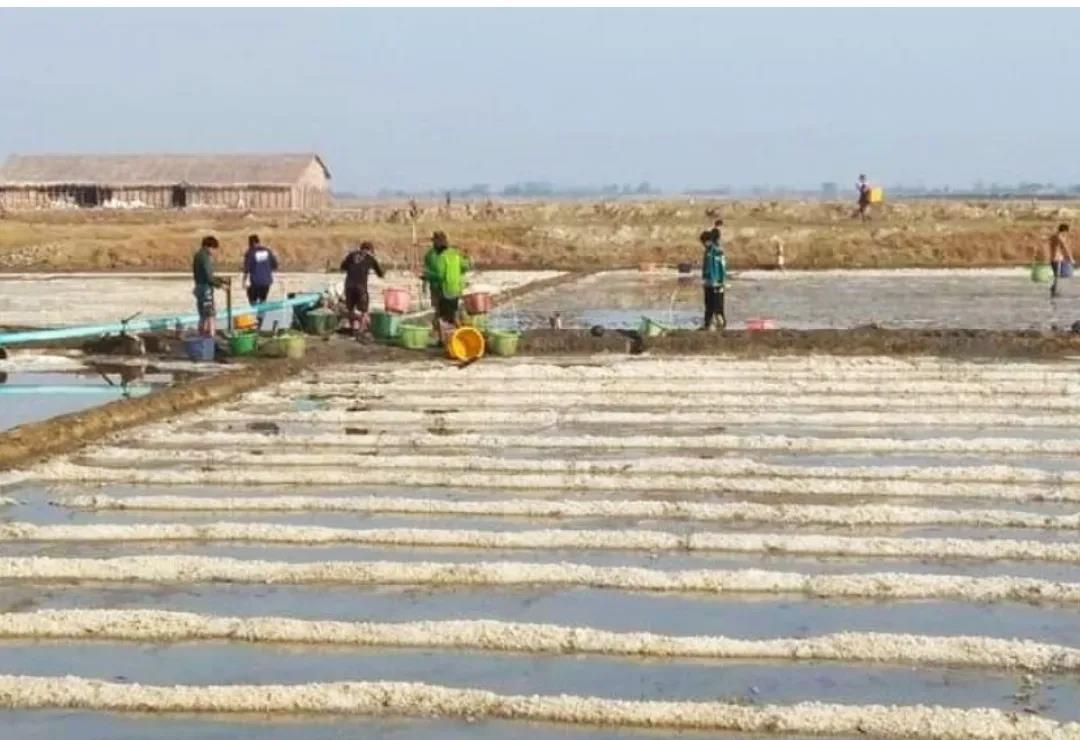 孟邦食盐“歉收” 农户收入暂未受影响