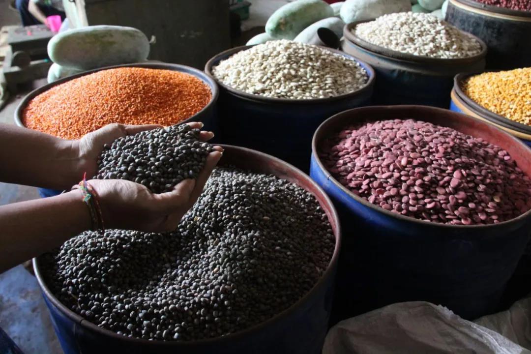 缅甸进口豆类价格上涨，海运、陆运出口额14亿美元